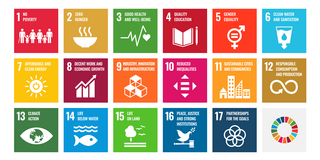 Bunte Kacheln der 17 Sustainable Development Goals